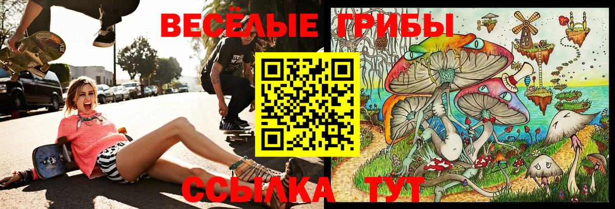 цены наркотик  Псилоцибиновые грибы ЛСД  Вход с VPN  Камышин 