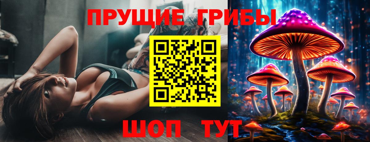 Псилоцибиновые грибы Psilocybe Камышин