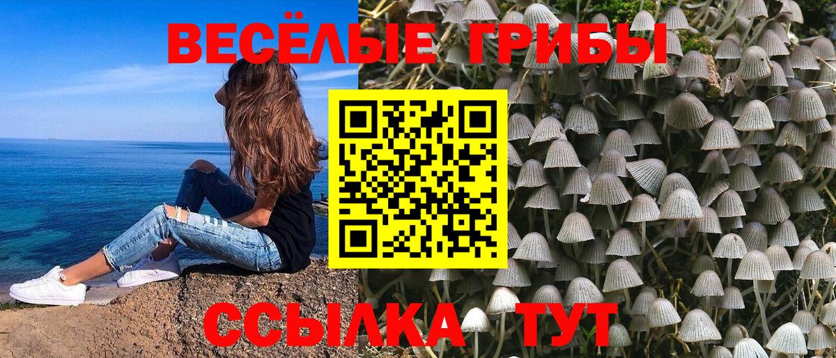 Меф   МДМА  Вход с VPN  Камышин  Каннабис 