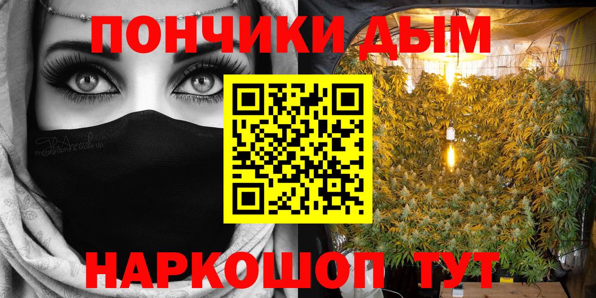 Канабис ГИДРОПОН Камышин